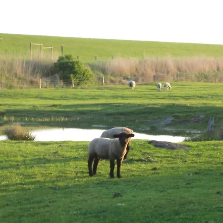 Haus Halligblick, Am Wattenmeer, Whg Hamburger Hallig * Dagebüll